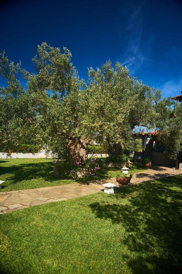 Villa The Cosy Olive Ormos Panagias Esterno foto